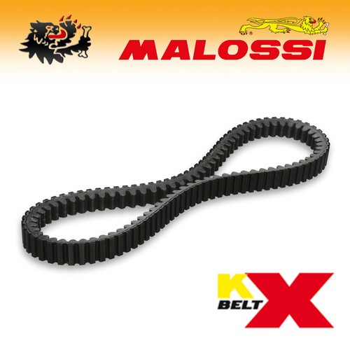 6113396 malossi variator - 6113396,