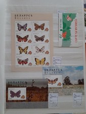 SCHMETTERLINGE umfangreiche