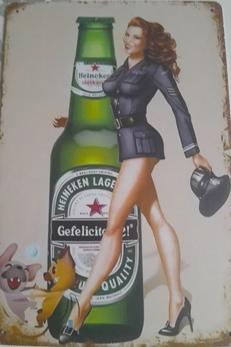 Blechschild heineken 20cm x - ,