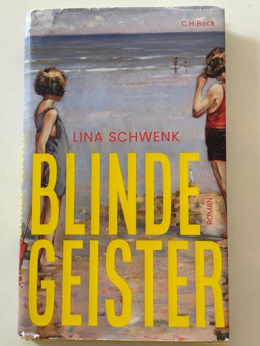 Lina schwenk roman buch - schwenk,