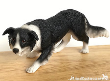 Border collie schäferhund - collie,