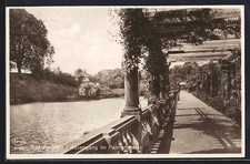 Bad Pyrmont, Rosengang im