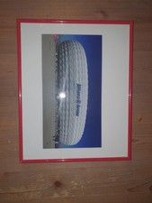 Allianz Arena FC Bayern