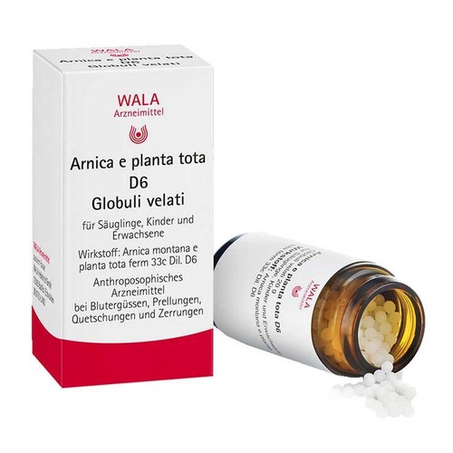 Arnica planta tota - planta, d