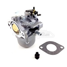 Vergaser ersetzt Briggs &