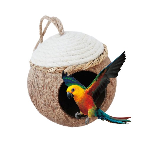 Vogelnest aus kokosnussschale - vogelnest,