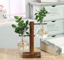 Pflanzen-Terrarium / Tischvase