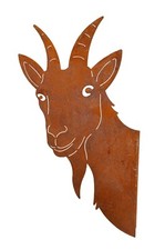 Ziegenkopf seitlich zum