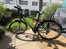 Kinderrad 26 Zoll Pegasus Avanti, Nabendynamo; 7-Gang-Shimano Nexus