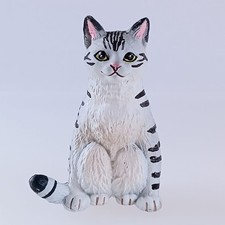 Schildpatt Katze - hockende