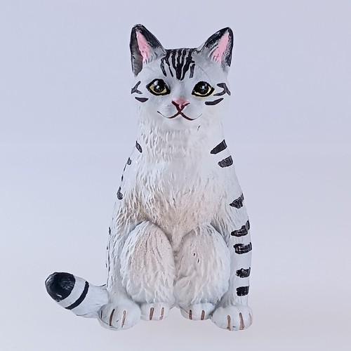 Schildpatt katze hockende - katze,