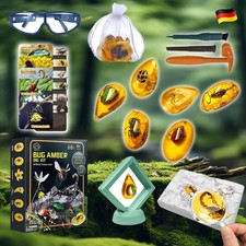 Ausgrabungsset Kinder Forscherset Insekten Steine Geschenkideen Gips Mit Brille