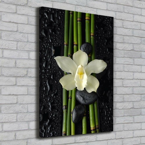 Leinwand bild kunstdruck - leinwand-bild,