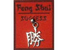 ECHT SILBER Anhänger    Feng