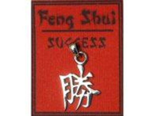 Echt silber anhänger - echt, feng