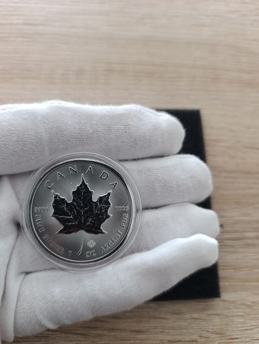 Silber maple leaf 2025 - maple,