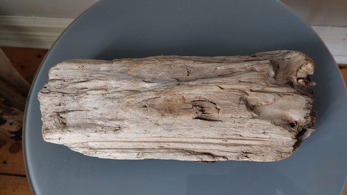Treibholz schwemmholz - 34, cm