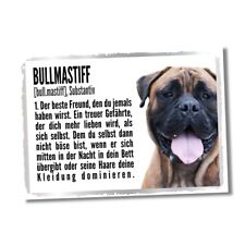 Bullmastiff Duden Hund Dog