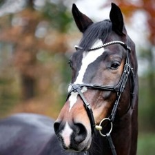 % Kavalkade Trense Lucia