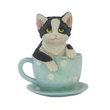 Spardose Katze Cat Sparbüchse