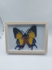 Schmetterling 11×11 Cm