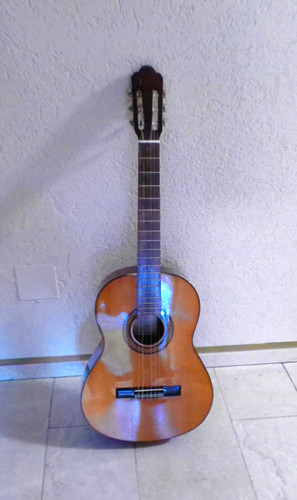 Gitarre pro arte modell - pro, gc-200