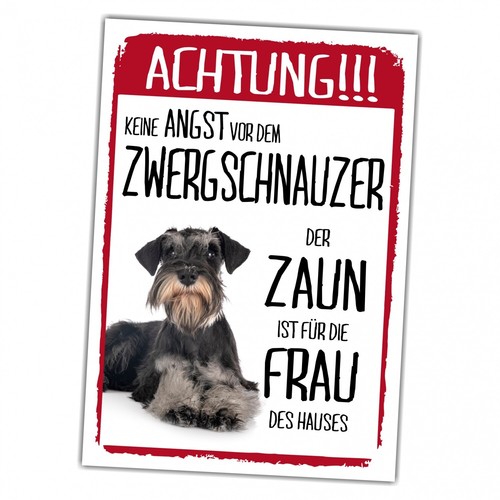 Zwergschnauzer black silber