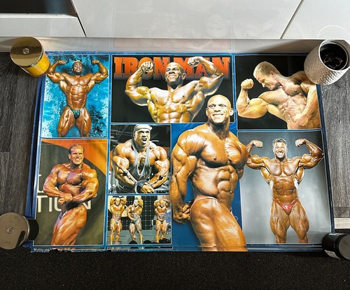 Bodybuilding wandposter - bodybuilding,