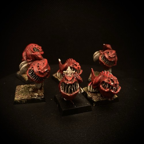 Squigtreiber warhammer - ,