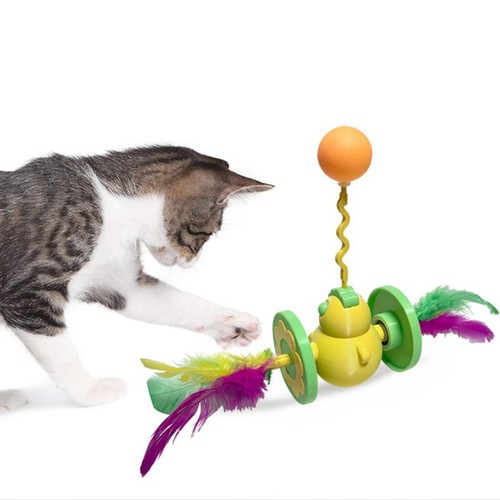 Katzen-Rollball-Spielzeug