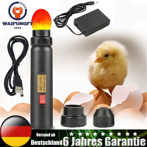 Schierlampe für hühnereier - schierlampe,