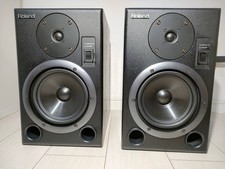 Roland DS-7 BI-Amp Monitor