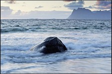 B+W XS-Pro Digital Graufilter