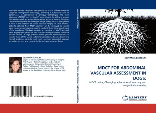 Mdct for abdominal vascular - mdct,