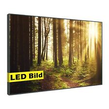 LED Leuchtbild - Wald mit