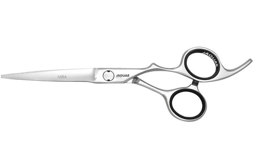 Jaguar silver line - silver, 5,5