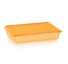 Tupperware Gefrier-Behälter