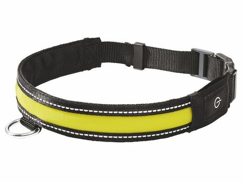 Led hundehalsband l - led, s