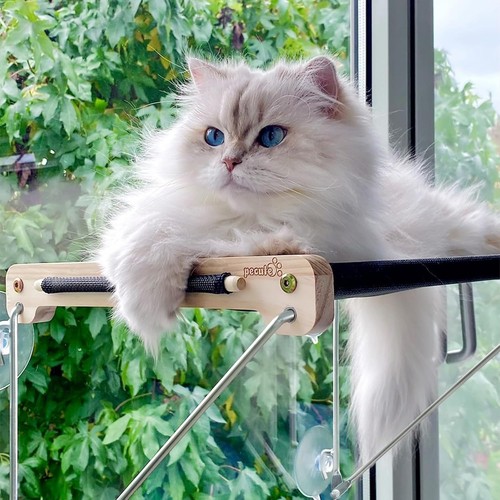 Pecute katzen fensterplätze - pecute,
