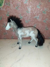Hübsches Pony Pferd für