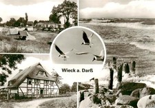 Wieck Darss Zeltplatz Sturm Reetdachhaus