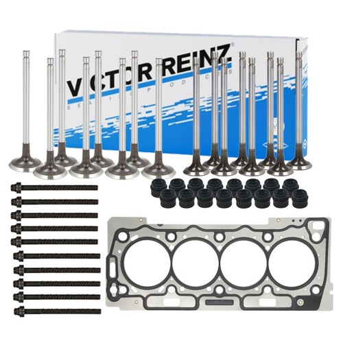 Victor reinz - victor,