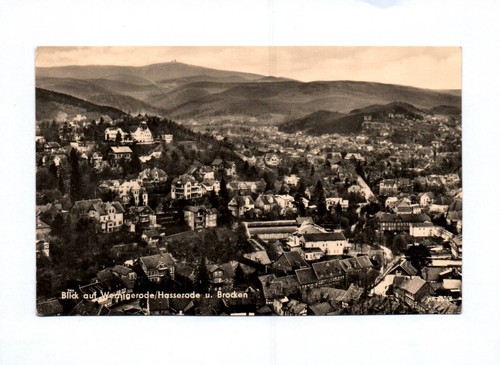Blick auf wernigerode - blick,