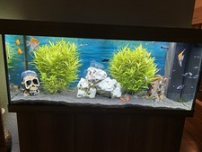 Juwel Aquarium 240 Liter mit LED Beleuchtung und unterschrank