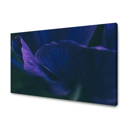 Canvas leinwandbilder xxl - canvas,