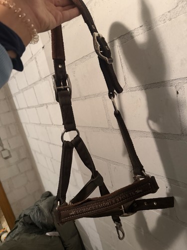 Schockemöhle ponyhalfter - schockemöhle,