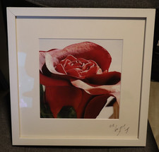 Bild (Fotographie) Larson Juhl