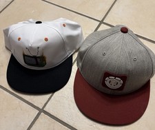 Skate Caps Kappen Flatbrim Element Volcom