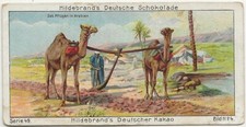 68/220 SAMMELBILD HILDEBRAND DEUTSCHER KAKAO PFLÜGEN IN ARABIEN BERUF BAUER ZELT
