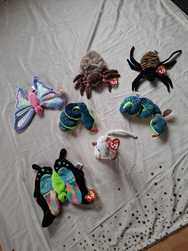 Beanie babys sammlung - beanie,